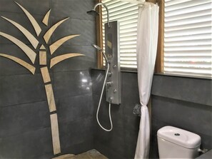 Shower, hair dryer, towels