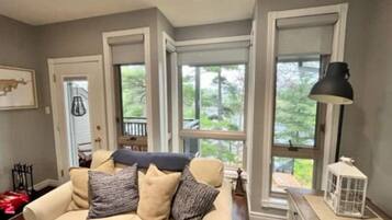 Smart TV, fireplace, DVD player