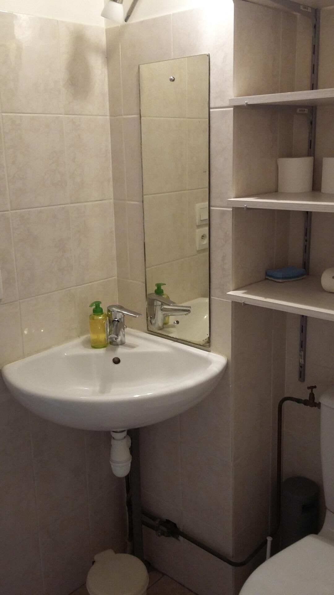 Une salle de bain avec un lavabo blanc, un miroir et des étagères.