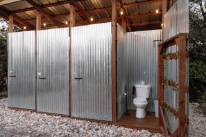 Shower, towels, toilet paper