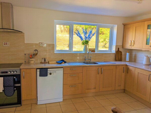 A kitchen with a dishwasher, stove, and wooden cabinets.