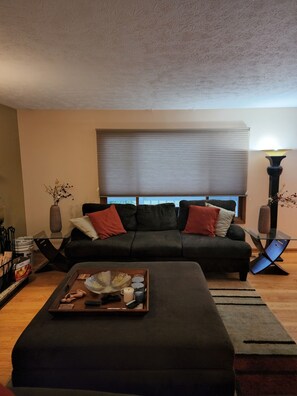 Smart TV, fireplace, DVD player