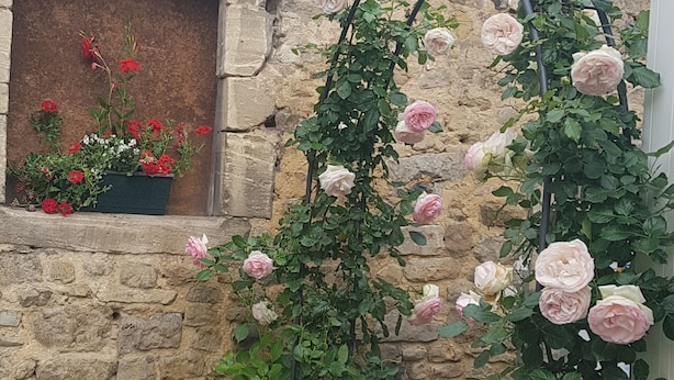 A stone wall with a window and a rose trellis.