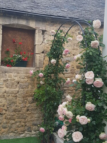 Superb Studio in the heart of Bayeux