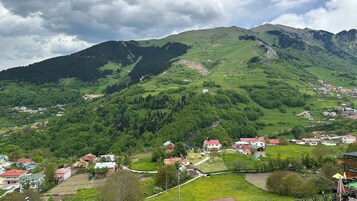 Vista desde la habitación