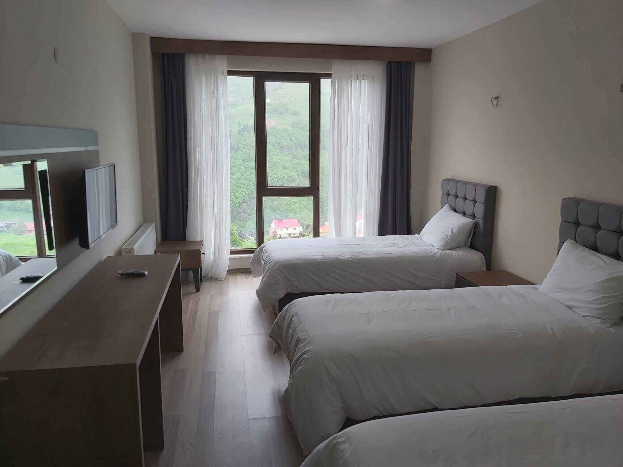 Habitación estándar, para no fumadores, vista a la montaña | Escritorio, espacio para trabajar con laptop y wifi gratis 