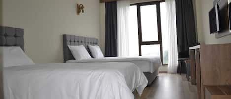 Standard Room, Non Smoking, Mountain View