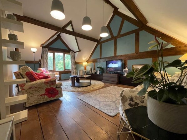 Televisión y libros 