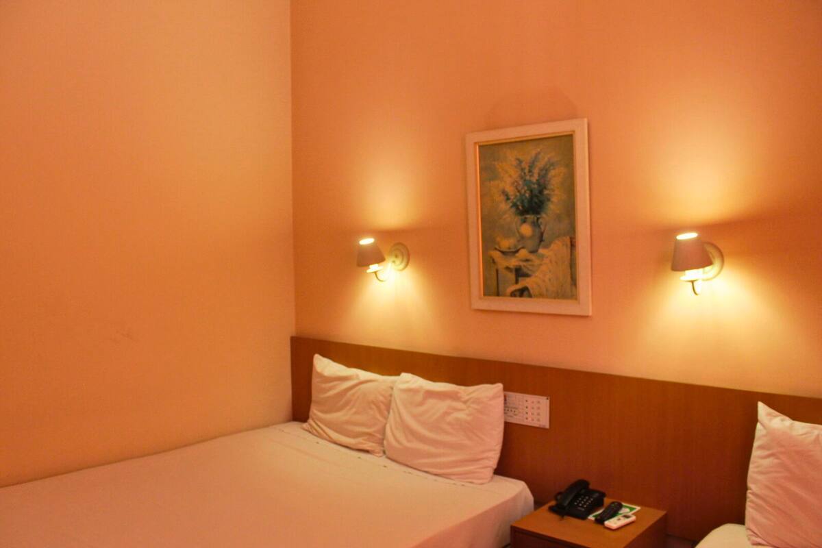 Een hotelkamer met een eenpersoonsbed, twee bedlampen, een schilderij aan de muur, en een nachtkastje met telefoon en afstandsbediening.