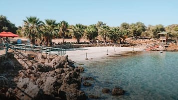 Ubicación cercana a la playa y 10 bares en la playa