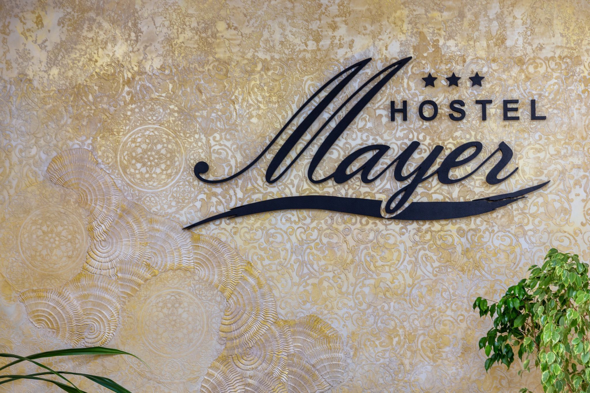 A wall with the text "HOSTEL Mayer" and decorative swirls.