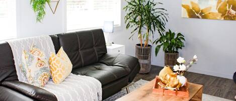 Smart TV, books