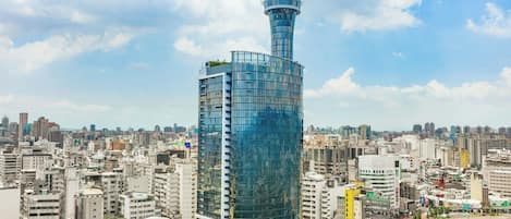 Vista desde la propiedad