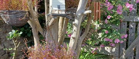 House | Property grounds