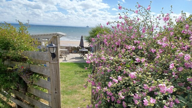 A wooden gate leading to a patio area with a view of the sea, a wooden fence, and a flowering bush.