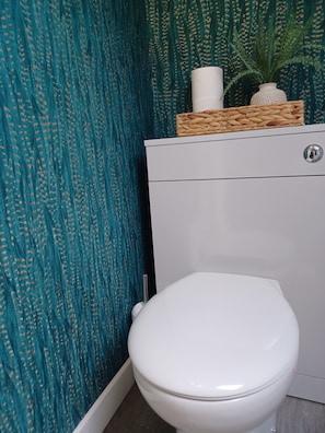A bathroom with a white toilet, teal patterned wallpaper, and a small potted plant on a cabinet. - Beachhaven116, Lovely Beachside House, Lower Largo (Leven)
