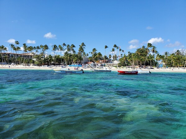 Plage à proximité, chaises longues, serviettes de plage