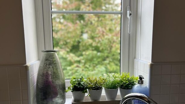 Ein Fenster mit weißem Rahmen, eine Glasvase und drei Blumentöpfe auf einem Fensterbrett.