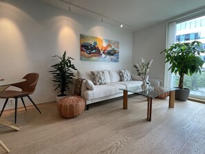 Smart TV, chimenea y libros 