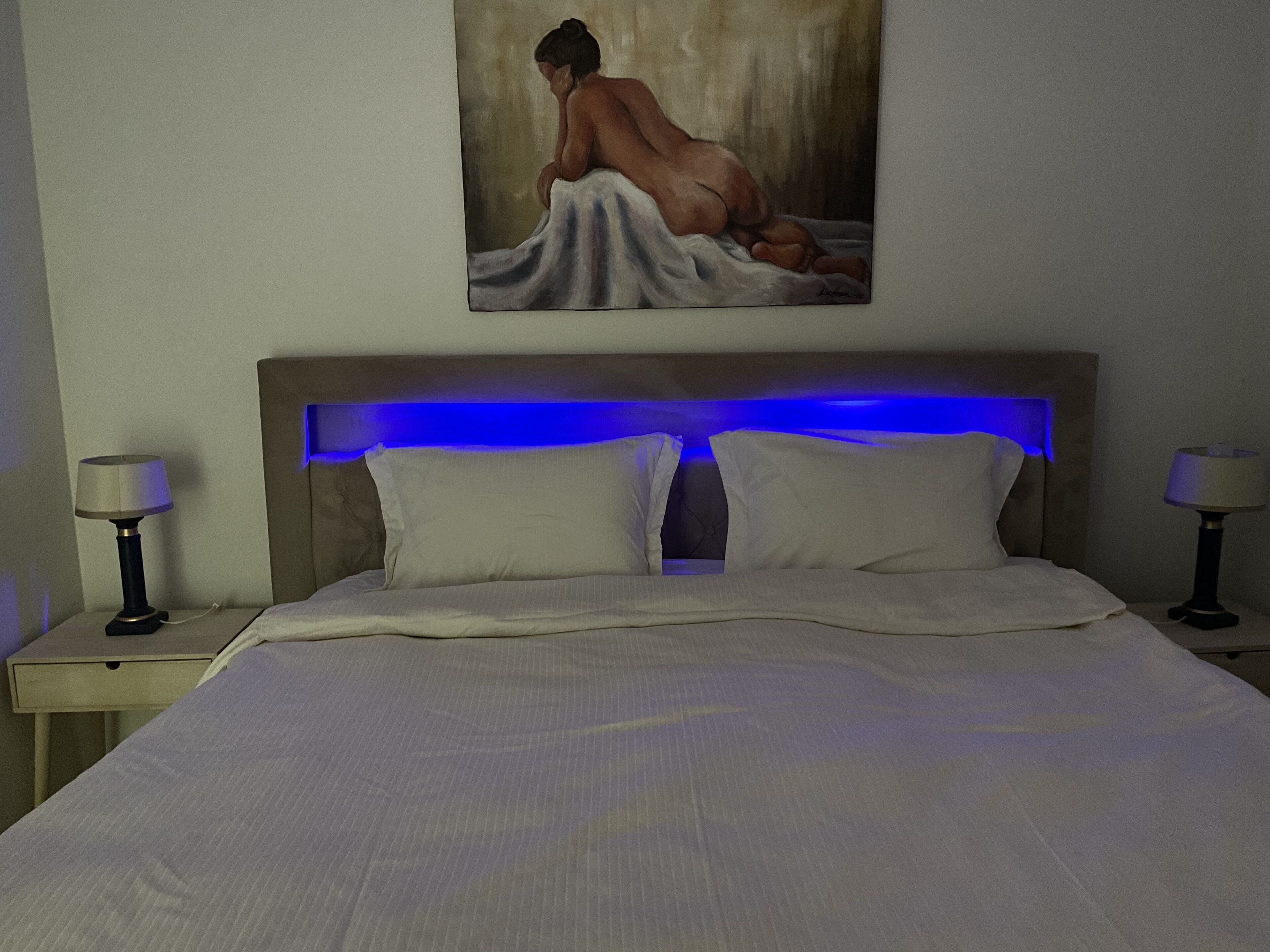 Exclusive apartment on Tjuvholmen with sea view, middle of the center 