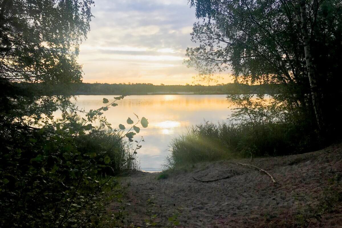 Una vista tranquila de un lago con una orilla arenosa, rodeada de abundante vegetación.