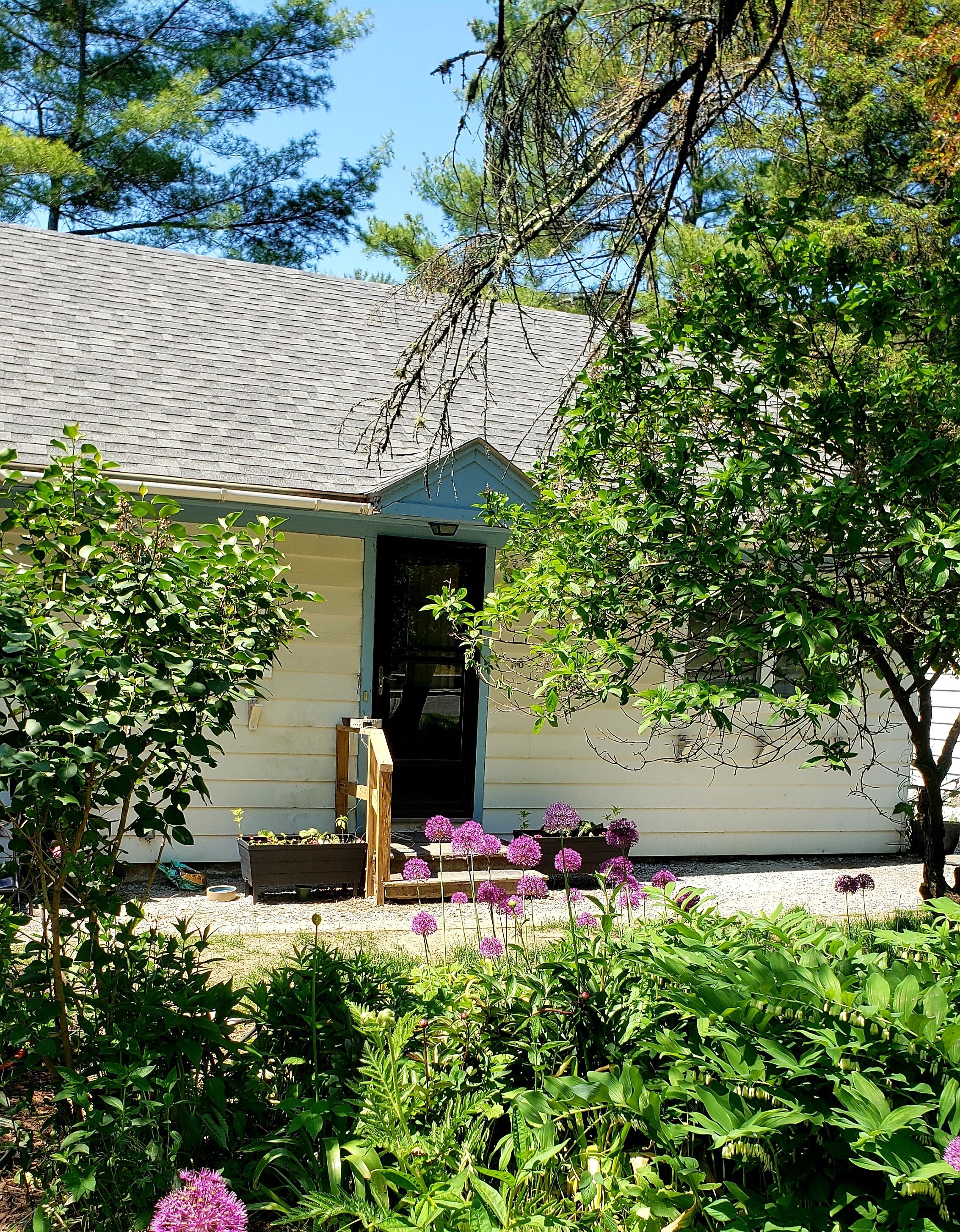 A house with a porch, surrounded by lush greenery and flowering plants.