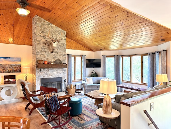 Smart TV, fireplace, books