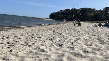 Camastros y toallas de playa