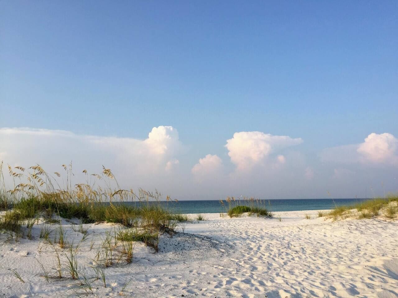Une plage de sable avec une végétation clairsemée et un ciel dégagé.