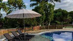 A swimming pool with lounge chairs and an umbrella, surrounded by a wooden fence and lush greenery. - FINCA ENCANTO QUINDIO (Armenia)