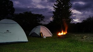Two tents, one labeled Quechua, set up on a grassy field with a campfire in the background. - FINCA ENCANTO QUINDIO (Armenia)