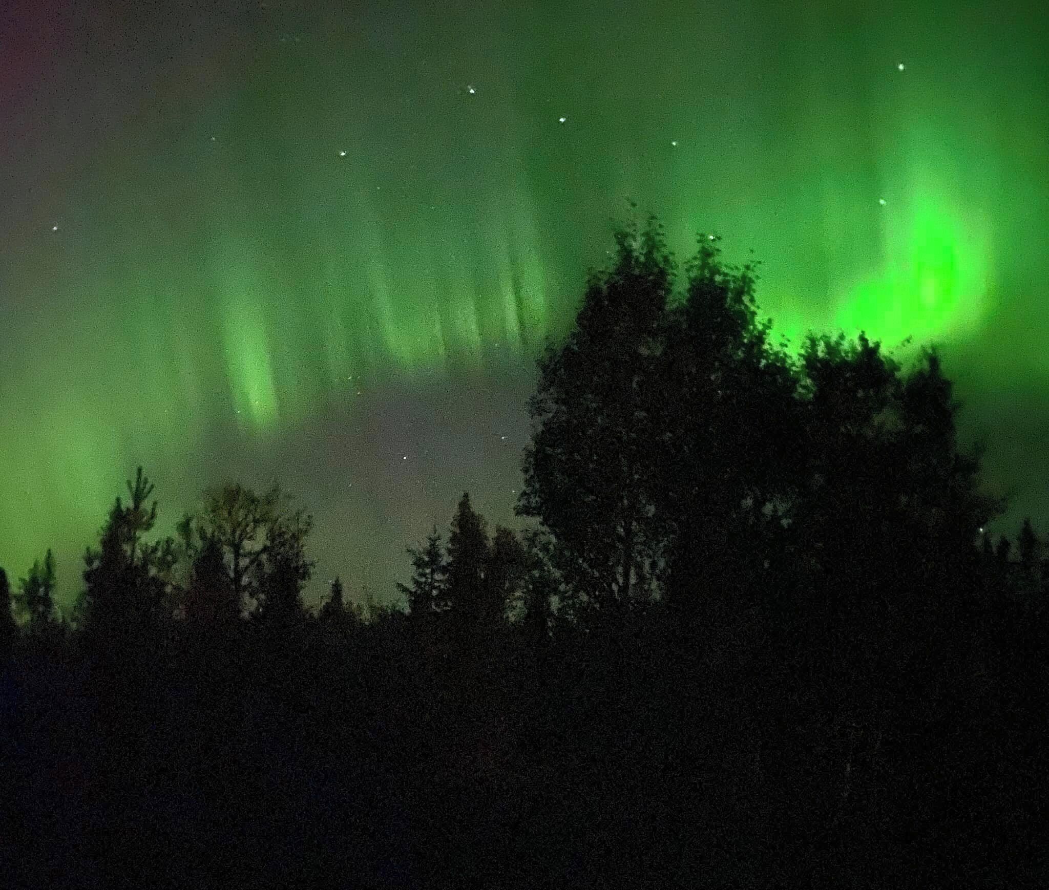 Cielo notturno con aurora boreale verde sopra una zona boschiva.