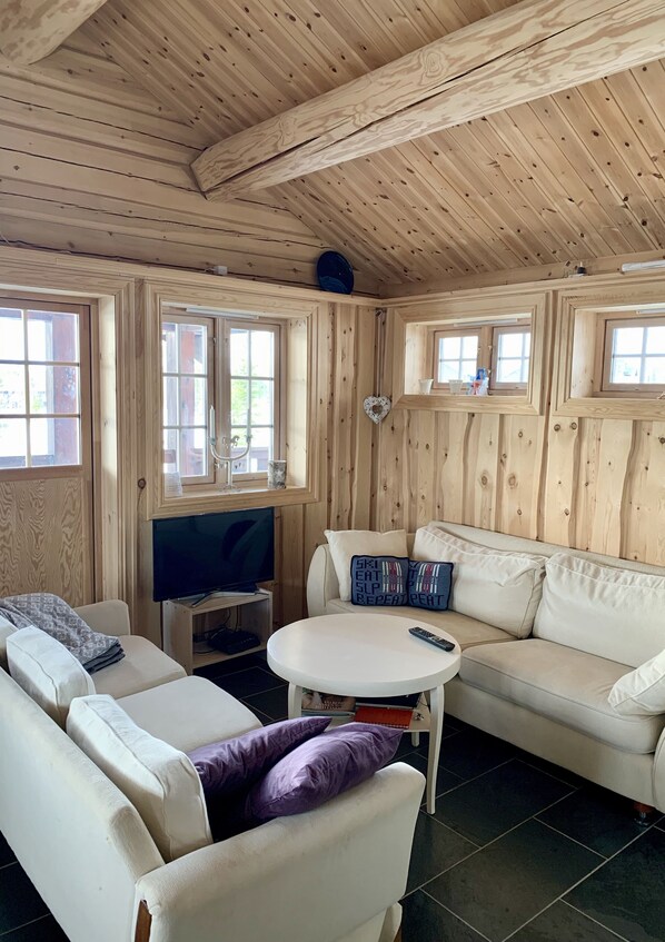 Smart TV, fireplace, DVD player