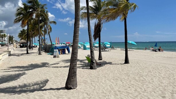 Een strand met palmbomen, parasols en ligstoelen.