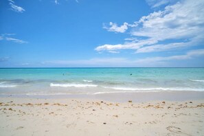 Playa en los alrededores 
