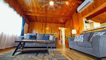 Televisión y chimenea