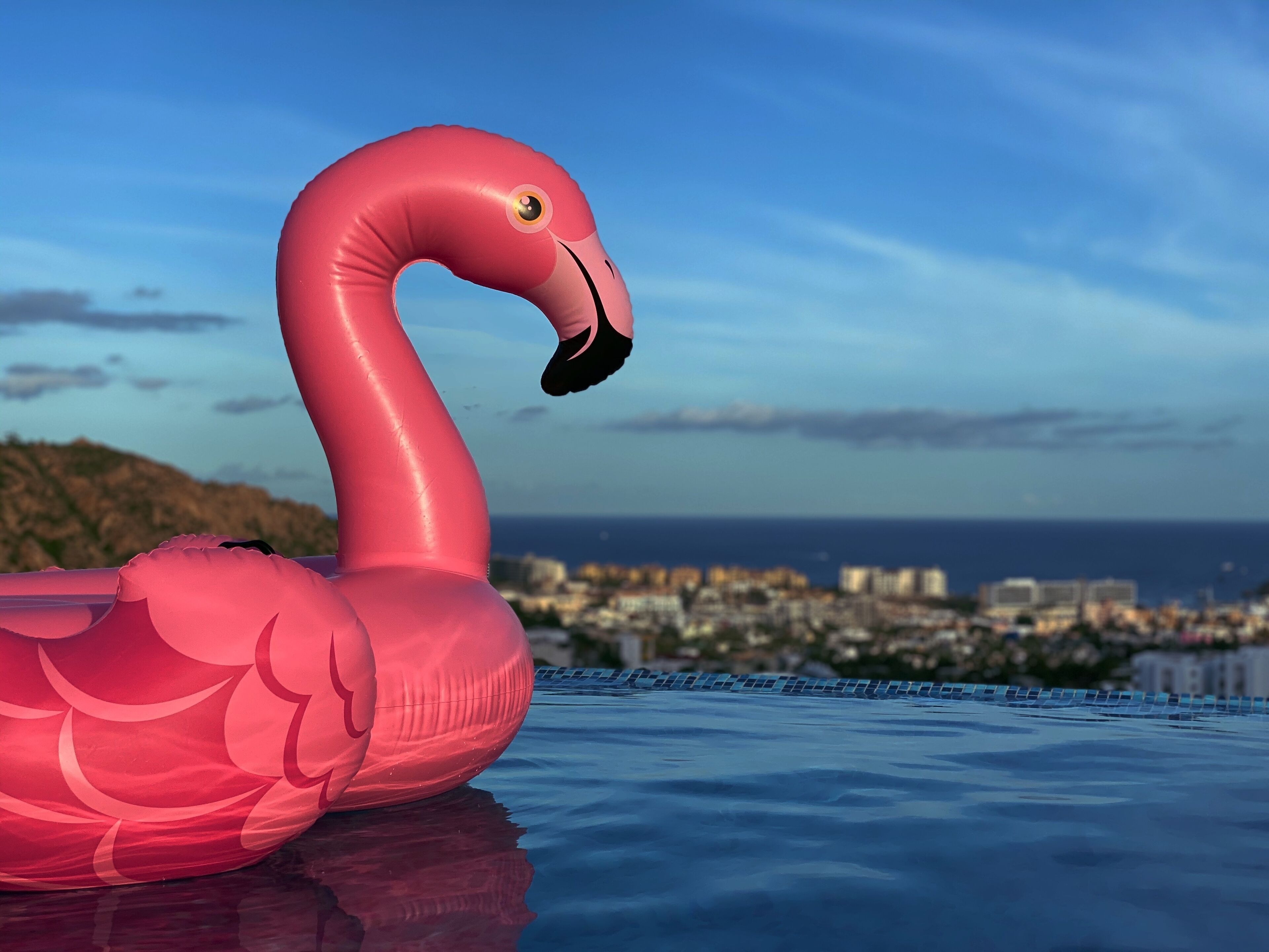 Long Term Rental, Amazing Penthouse Great Location