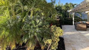 A covered outdoor area with a pergola, wicker furniture, and lush greenery including palm trees.