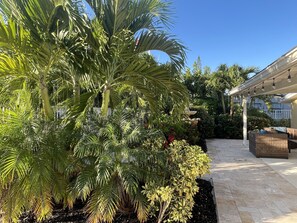 Terrain de l’hébergement 