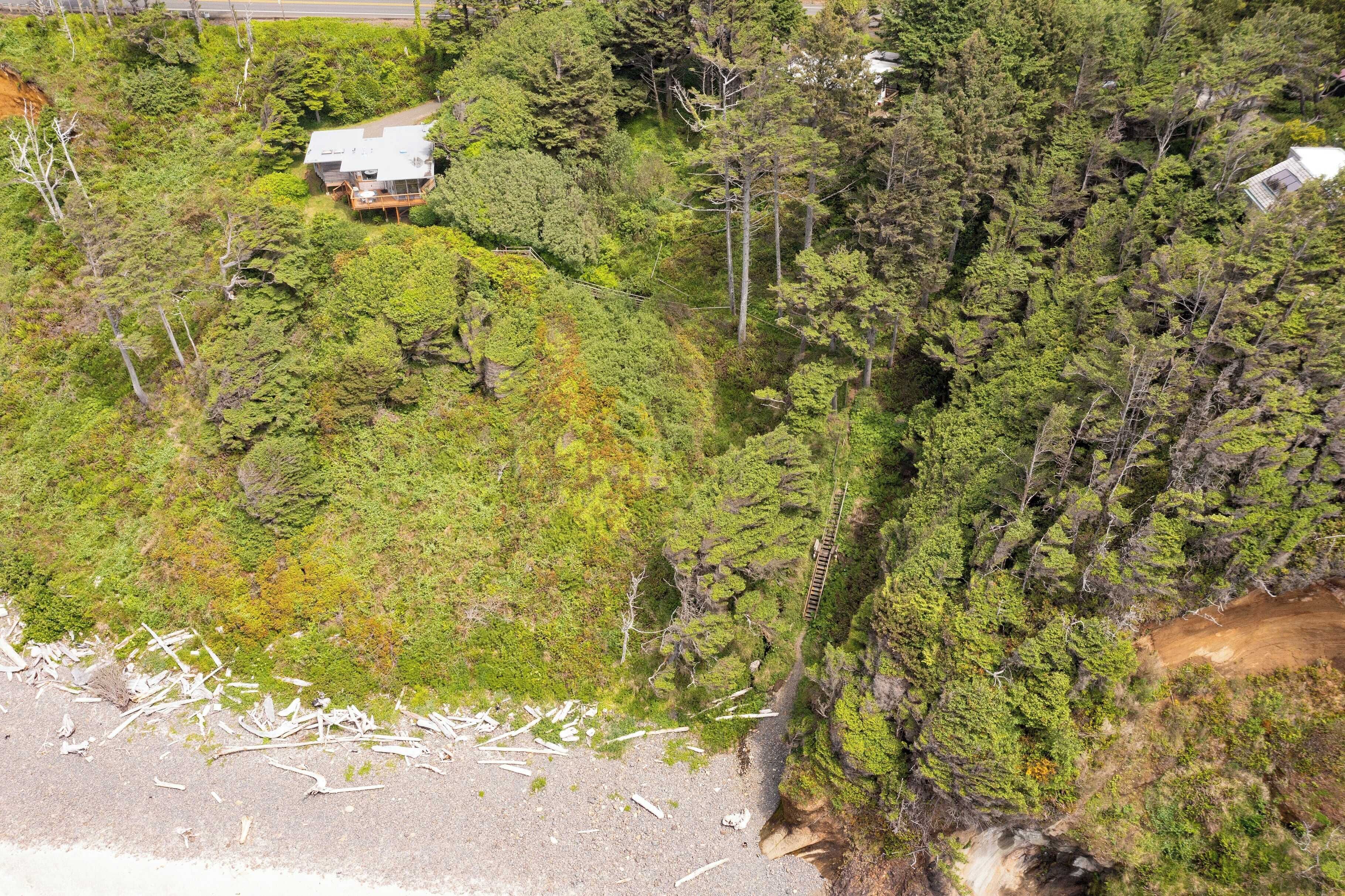 Une zone boisée avec une maison entourée d’arbres denses.