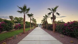 A pathway flanked by palm trees and flowering bushes leading to a building. - Sleeps 20! Architectural Mansion w/ Pool, Indoor Tennis Court, Game Room Starlight Estate by Avantstay (Indio)