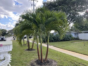 Overnattingsstedets uteområder