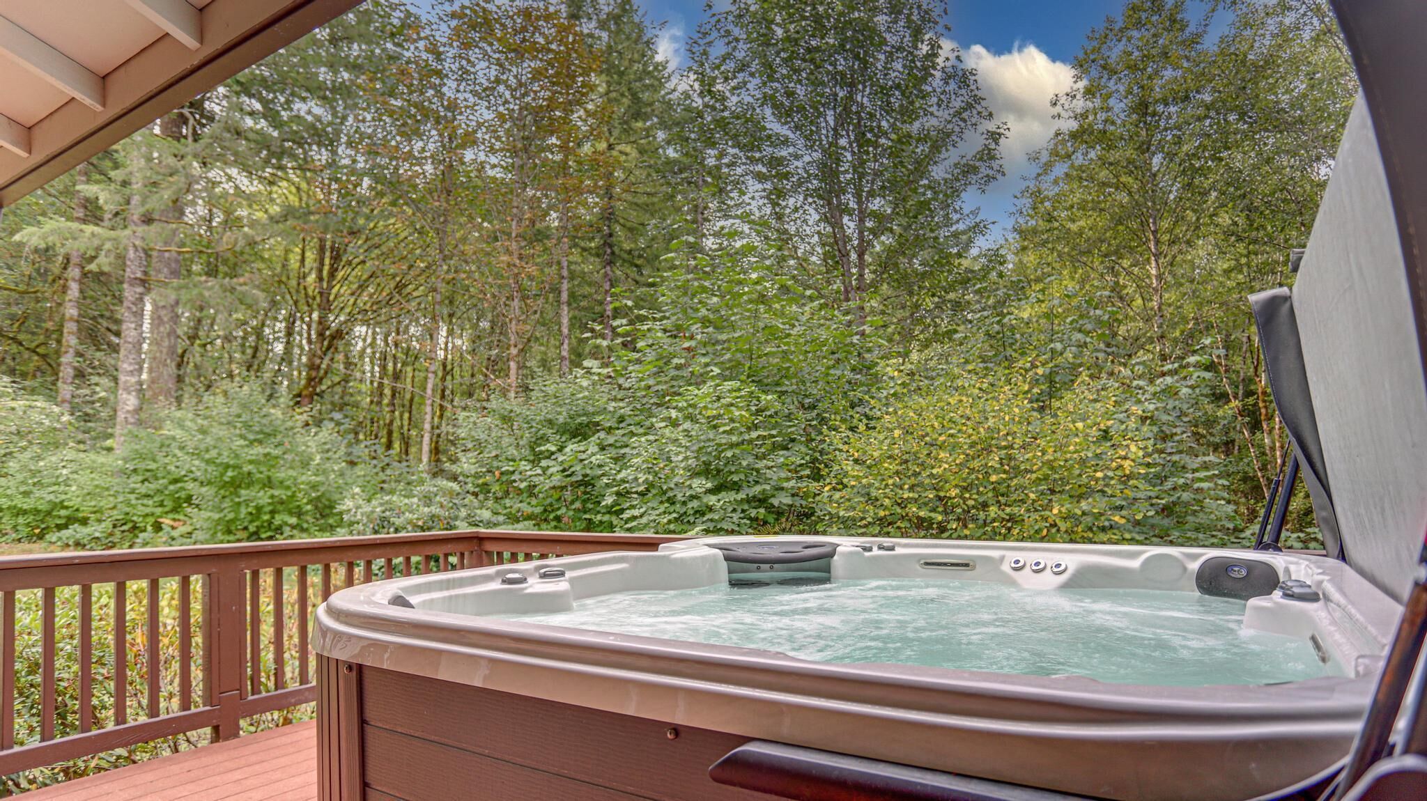 Warm and inviting Cascades Cabin, hot tub, woodstove, pet-friendly