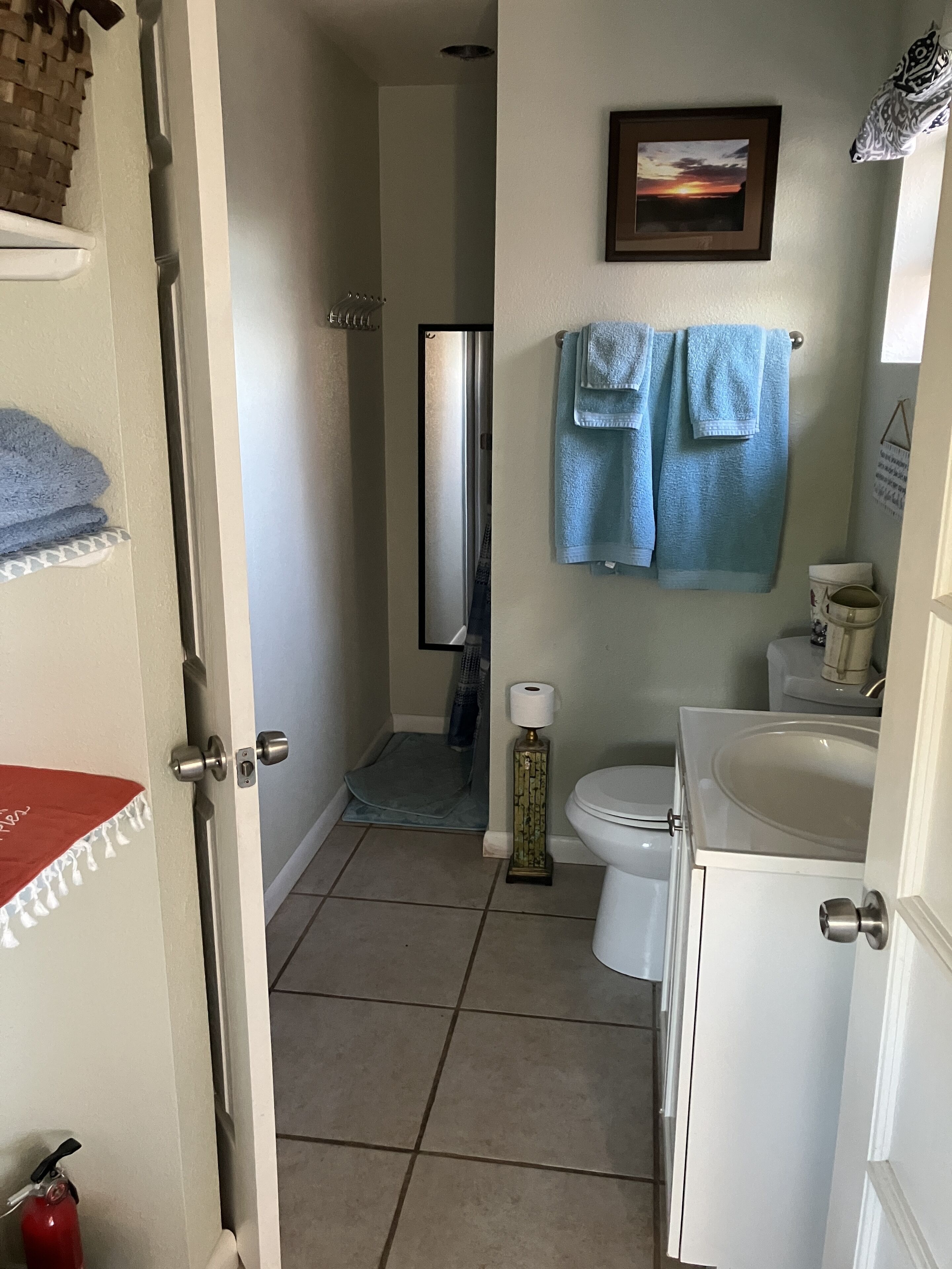 Hummingbird House with wandering wildlife. Swim under the Stars