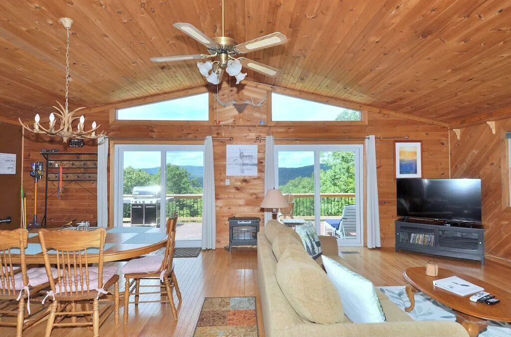 TV connectée, cheminée, jeux vidéo, lecteur de DVD