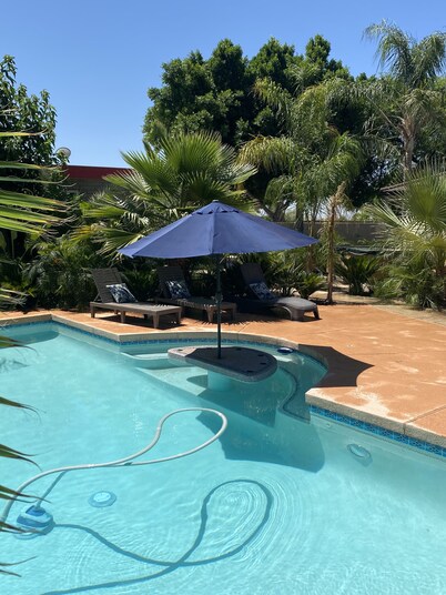 Private 2.5-Acre Retreat with Lush Palms, Pool, Play Train & Tortoises