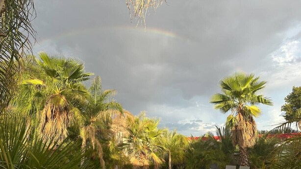 Piscina rodeada de palmeras bajo un cielo nublado.