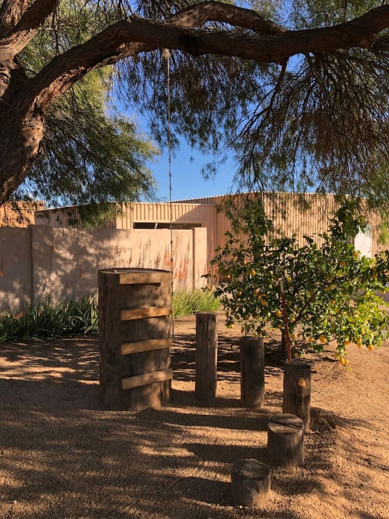A rustic outdoor area with a wooden barrel, a tree, and a building in the background.