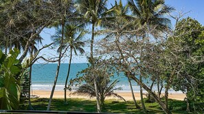 A beach with palm trees and a view of the ocean. - Frangipani Place - 3 BR - Beachfront (Wongaling Beach)
