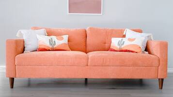 Smart TV, fireplace, table football, books